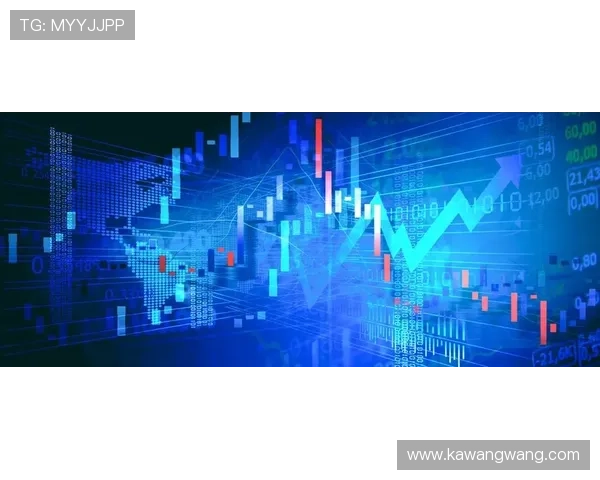 提升运动表现的必备装备，深入了解vsport的产品优势