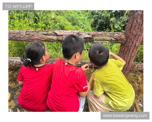 加州娱乐：体验加州的户外探险活动如徒步、骑行与自然探索的乐趣